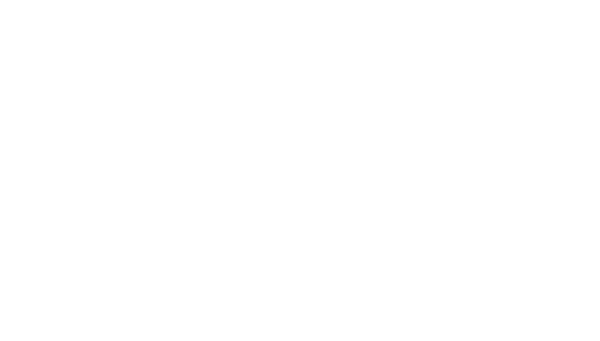 VEIV.com